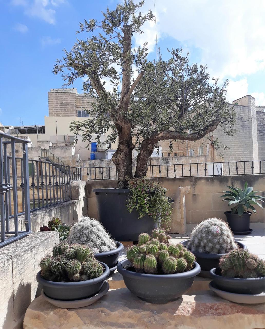 Cospicua ザ 3 シティーズ オーベルジュ Bed & Breakfast エクステリア 写真